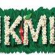Pikmin PC Game Latest Version Free Download